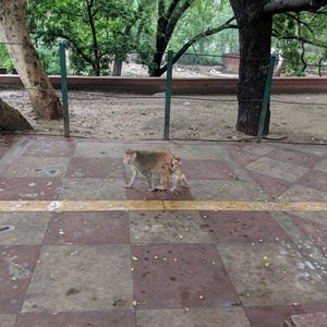 IMG_20190708_073921.jpg
